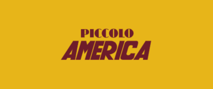 Fondazione Piccolo America